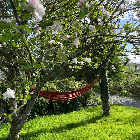 Gite A La Campagne Le Mesnil-Villeman Buitenkant foto