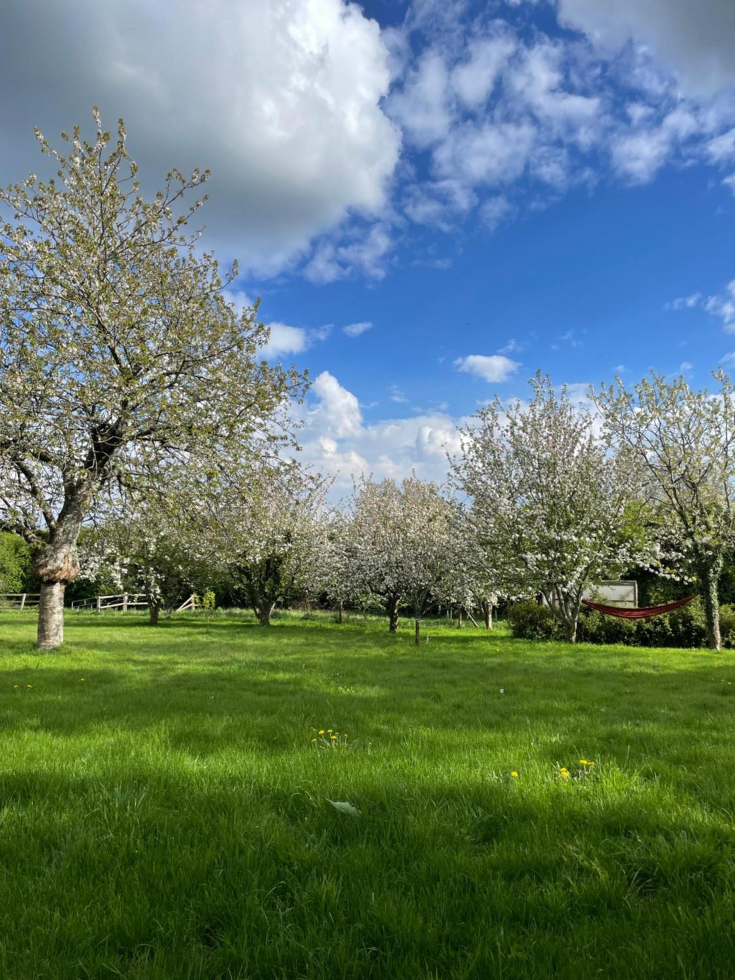 Gite A La Campagne Le Mesnil-Villeman Buitenkant foto